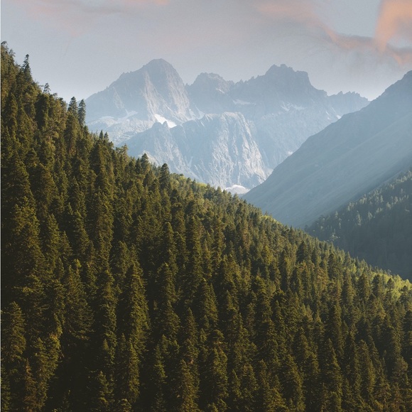 🌌 - Picture 2 of 2